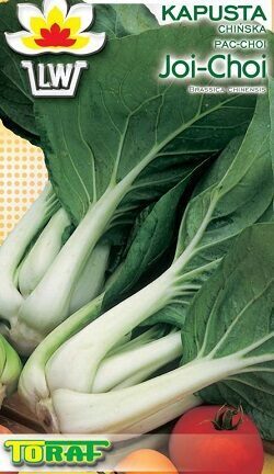 Kāposti ķīnas Pak Choi  F1 1 g TORAF A.P.