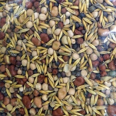 Pākšaugu un graudaugu maisījumus MP-2  1 kg Plantator agro