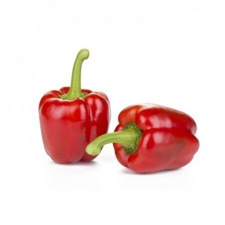 Paprika SONDELA RZ F1 100 gab Rijk Zwaan 