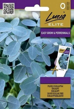 PELĒKAIS EIKALIPTS 10 gab  Sēklos LT (Lucia ELITE)