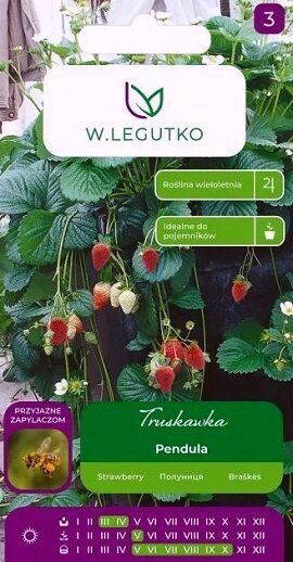 Zemenes dārza PENDULA 0.01 W.Legutko