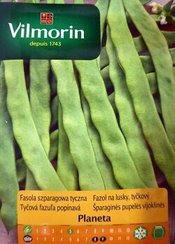 Sparģeļpupiņas garās PLANETA 10 g Vilmorin