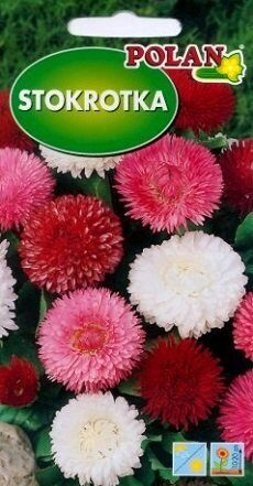 Pomponziedu mārpuķīte Stokrotka Pomponette MIX 200 mg Polan A.P.