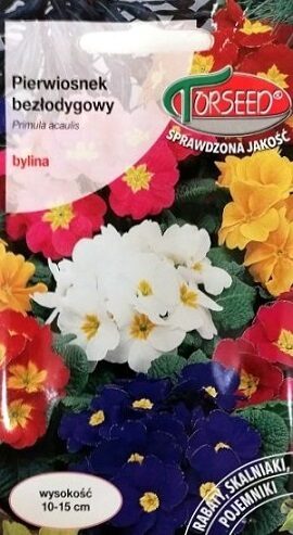 Bezstubļa primulas MIX 0.1 g Torseed