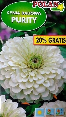Cinnijas dāliju Purity 1.2 g Polan 