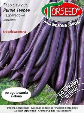 Sparģeļpupiņas zemās Purple Teepee 30 g Torseed