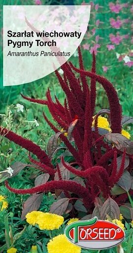 Skarainais amarants PYGMY TOUCH 2 g Torseed