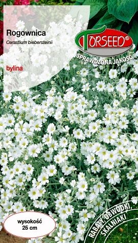 Radzenes Biberšteina Rogownica 0.5 g Torseed