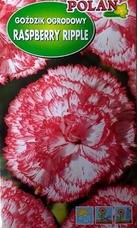 Dārza neļķes Raspberry ripple 200 mg Polan