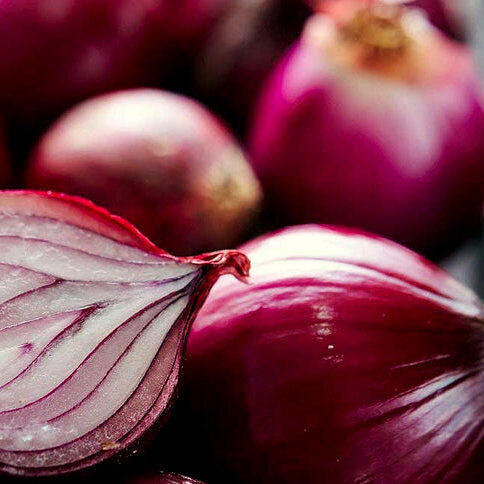 Sīksīpoli ziemas RED WINTER 0.5 kg Frakcija: 14/21 Holande