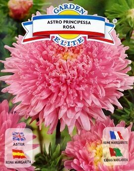 Asteres ķīnas princešu PRINCIPESSA ROSA 0.8 g Galassi Sementi