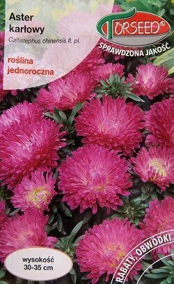 Pundurasteres ķīnas violeti rozā 0.5 g Torseed A.P.