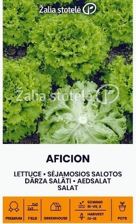 Salāti "Batavia"  AFICION 0.3 g  ŽALIA STOTELĖ