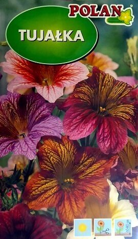 Salpiglose jeb taurespuķe MIX 1 g Polan