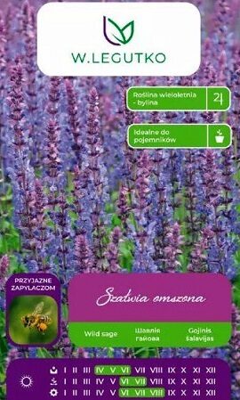 Birztalas salvija Szalwia omszona 0.1 g W.Legutko