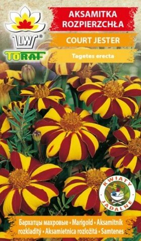 Samtene Klaun (COURT JESTER) 0.5 g Toraf