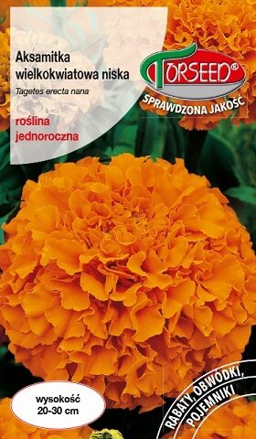 Samtenes zemās lielziedu oranžas 0.5 g Torseed