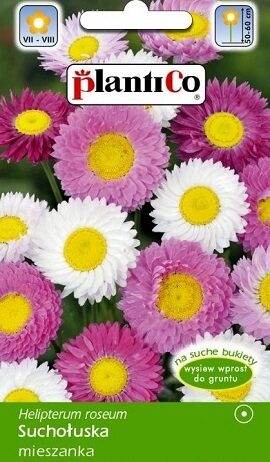 Salmenes/ Helipteras sārtās  MIX 2 g PlantiCo
