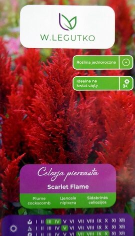 Spalvu celozija Scarlet Flame  0.3 g W.Legutko