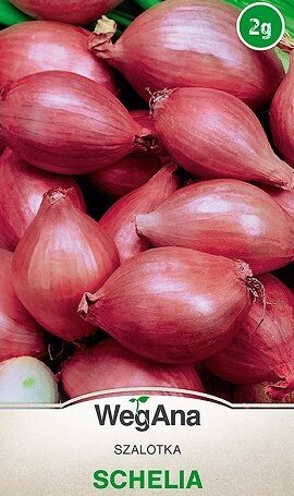 Šalotes sīpoli SHELIA 2 g WegAna