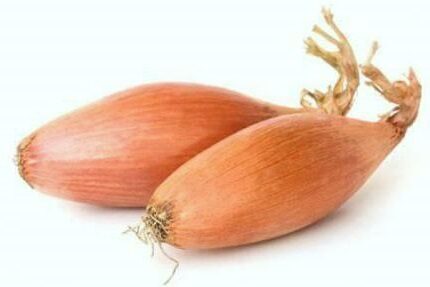 Sīksīpoli  BIRNFORMIGE  1 kg Frakcija: 14/21  Holande