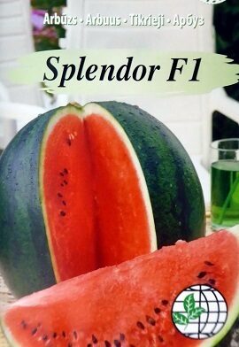 Arbūzi Splendor F1 5 gab Agrimatco