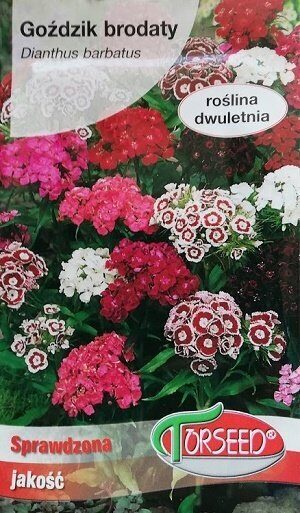 Studentu neļķes zemās Indian Carpet MIX 0.5 g Torseed A.P.