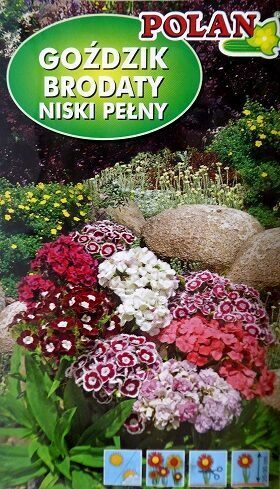 Studentu neļķes pildītās zemās MIX 500 mg Polan A.P.