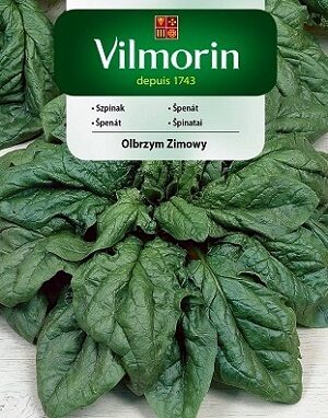 Spināti Olbrzym Zimowy 20 g Vilmorin