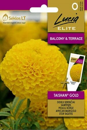 Samtenes Taishan® Gold  20 gab Seklos