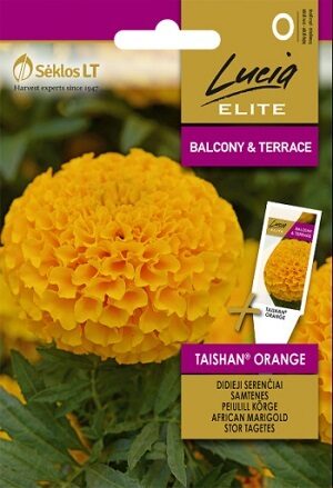   Samtenes Taishan® Orange 20 gab Seklos