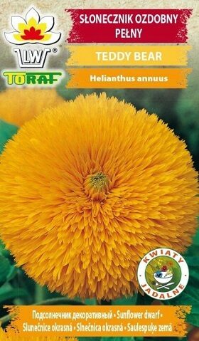 Saulespuķes pildītas zemās TEDDY BEAR 2 g TORAF