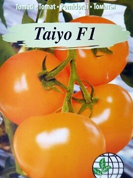 Tomāti TAIYO (TI 169) F1 3 gab Agrimatco