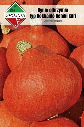 Ķirbji UCHIKI KURI 2 g SPOJNIA