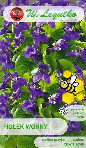 Smaržīgā vijolīte 0.3 g W.Legutko