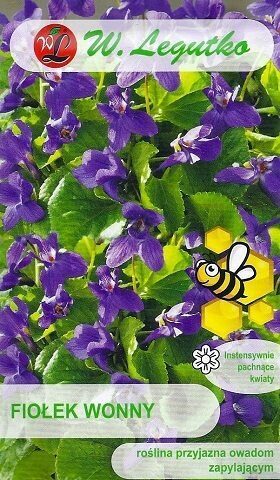 Smaržīgā vijolīte 0.3 g W.Legutko  A.P.