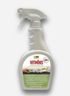 Vitmīns — gatavs lietošanai 500 ml BioEfekts