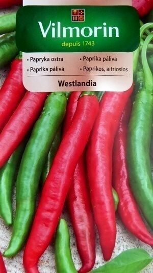 Paprika asā Westlandia 500 mg Vilmorin A.P.