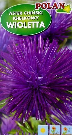 Asteres ķīnas adatainās WIOLETTA 1 g Polan  A.P.