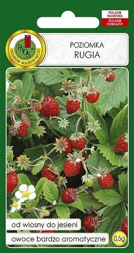 Zemenes Rugia 0.5 g PNOS