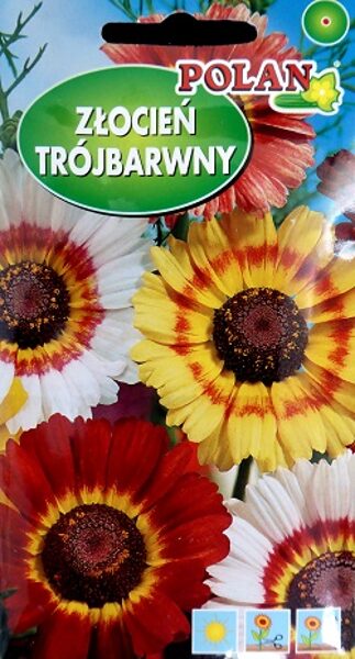 Krizantēma ķīļveida MIX 1 g Polan A.P.
