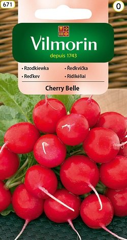  Redīsi Cherry Belle 300 gran Vilmorin
