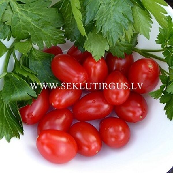 Tomāti ZUCCHERINO F1 5 gab Cora Seeds