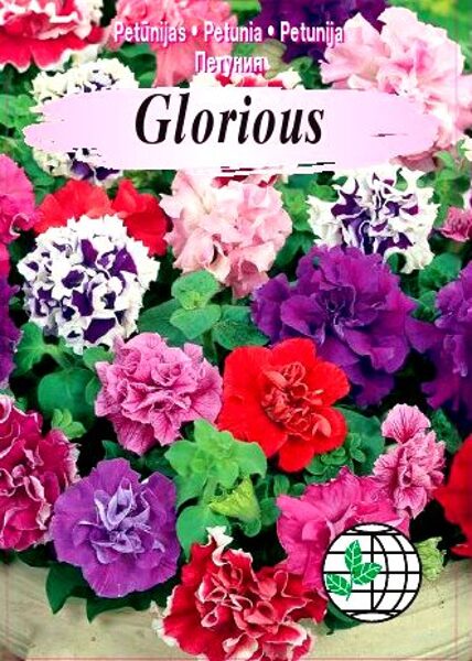 Lielziedu pildītās petūnijas Glorious MIX 15 gran Agrimatco