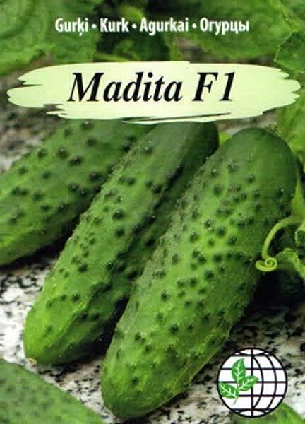 Gurķi MADITA F1 12 gab Agrimatco