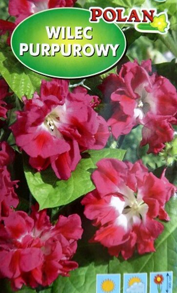 Purpura ipomeja sarkana Reffles 2 g Polan 