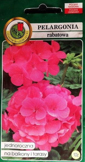 Zonālā pelargonija rozā 10 gab PNOS