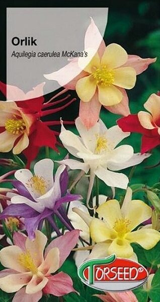 Hibrīdā ozolīte Mac Kanas Riesen MIX 1 g  Torseed