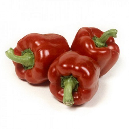 Paprika MAZURKA F1 5 gab Rijk Zwaan