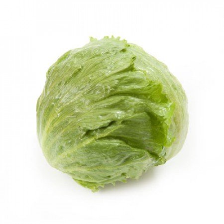 Salāti ledus Farinas 20 gran Rijk Zwaan